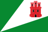 Flag of Trigueros del Valle, Spain