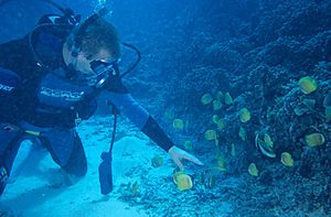 Comoros diver with fish (5974549425)
