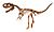 Monolophosaurus jiangi White Background.jpg