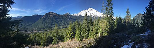 Mt Rainier from trail in park