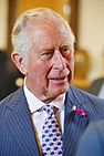 Prince Charles Ireland-4.jpg