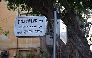 Se’adya Ga’on and HaHashmona’im intersection sign