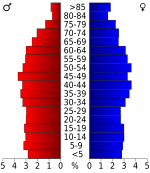 USA Decatur County, Tennessee.csv age pyramid