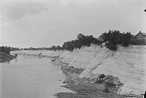 White Bluff at Demopolis in 1903