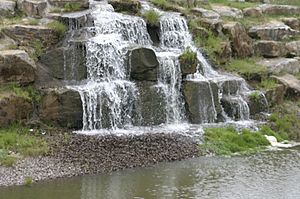 Yorkshire Wildlife Park Waterfall.jpg