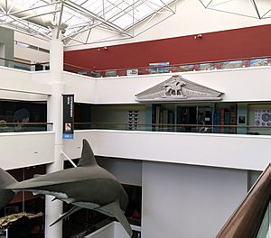 Atrium of the San Diego Natural History Museum, March 2018