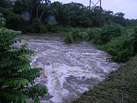 Belize river in rainy season flood Laslovarga002
