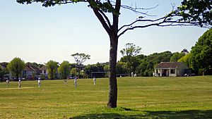 Cricket pitch, Bexhill Down Common, Bexhill