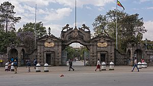 ET Addis asv2018-01 img13 University gate