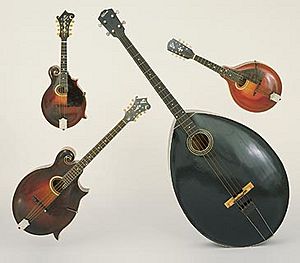 Gibson-mandolin-orchestra