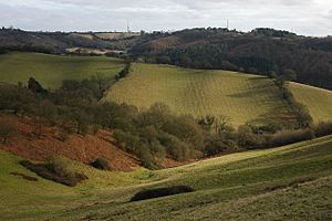 Hills to the east of Walton Hill - geograph.org.uk - 673185