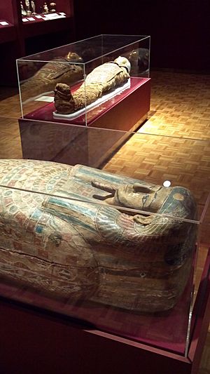 Mummy at mabee-gerrer museum