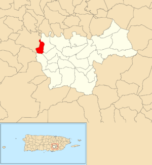 Location of Piedras within the municipality of Cayey shown in red