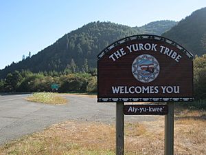 Redwood Highway (Yurok welcome sign), Redwood National Park