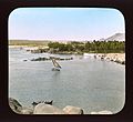 View 071, Verdant Euphantine Island, opposite Assuan, Egypt, 1908