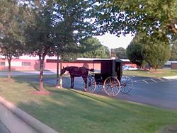 Amish buggy in the library parking lot