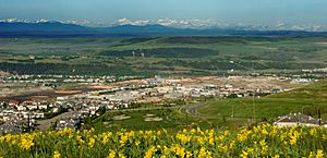 Overview of Cochrane