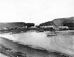 Codfish station at Pirate Cove, Alaska, June 1912 (COBB 145)