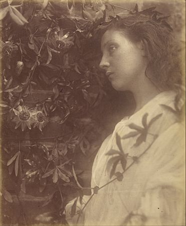 Julia Margaret Cameron (British, born India - Maud "There has Fallen a splendid Tear From the Passion Flower at the Gate" - Google Art Project