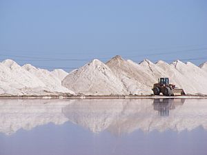 Salt Harvesting - Dry Creek