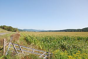 Corn fields with Upper Tract in the back