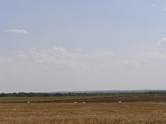 Western Kansas-High Plains Nicodemus