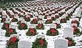 Wreaths at Arlington National Cemetery