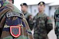 Albanian army badges