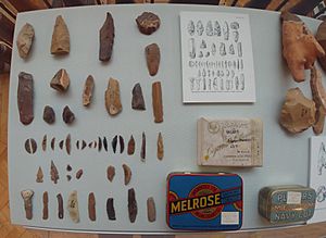 Display of material excavated by Dorothy Garrod, Museum of Archaeology & Anthropology, Cambridge, March 2022