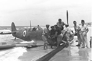 Egyptian Plane TA 1948