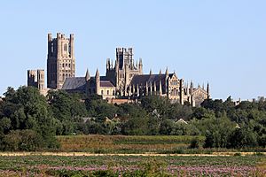 Ely Cathedral from Quanea Drove F.jpg