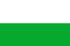 Flag of Líbano, Tolima