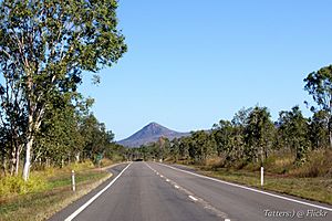 Flinders Hwy going south on the way to Charters Towers (5930251068)