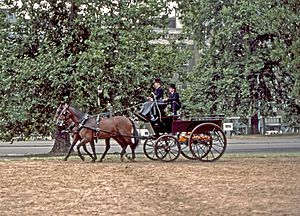 Hyde Park Corner Carriage-1983