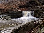 McCormicks Creek falls Indiana.JPG