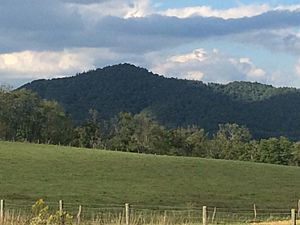 Mountains North of Wytheville