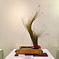 Nagoya Ikebana Art Exhibition Sakae Nov 2018 47