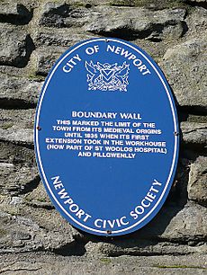 Newport boundary wall