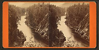 View from the Cliff, (Ripogenus Falls), by Hinds, A. L., fl. 1870-1879.jpg