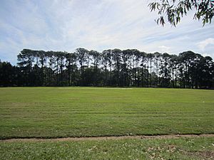 Virginia State School - Oval and forestry plot, from S (2015)