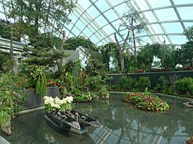 Cloud Forest, Gardens by the Bay, Singapore - 20120628-01