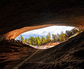 Cueva del Milodón (39330091455).jpg