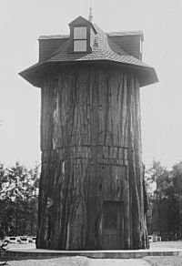 General Noble Redwood Tree House, on the grounds of the Main Building of the Department of Agriculture, Washington... - NARA - 512818 (cropped2)