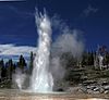 Grand geyser and vent geyser in Yellowstone National park.jpg