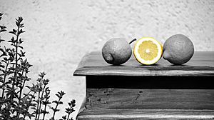 Lemon Grey MaxPixel.freegreatpicture.com--2252546
