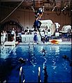 NASA Swimming Pool