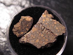 NWA 801, CR2 meteorite