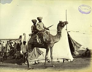 Photograph of British Camel Corps, two Sikh soldiers mounted in fighting order
