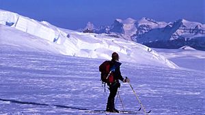 Ski Mountaineering on the Columbia Icefield