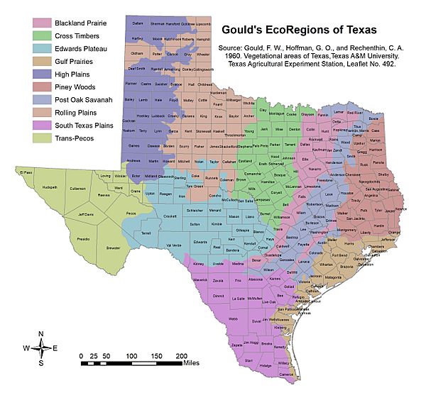 TexasGouldEcoRegion12